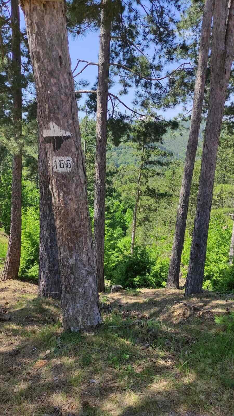 Екопътека "Св Неделя" - Златоград