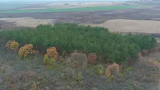 Светилище на "Зевс Сабазий" - с.Яворово — Яворово