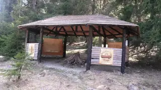 Познавателен маршрут "Музей на гората" — Батак