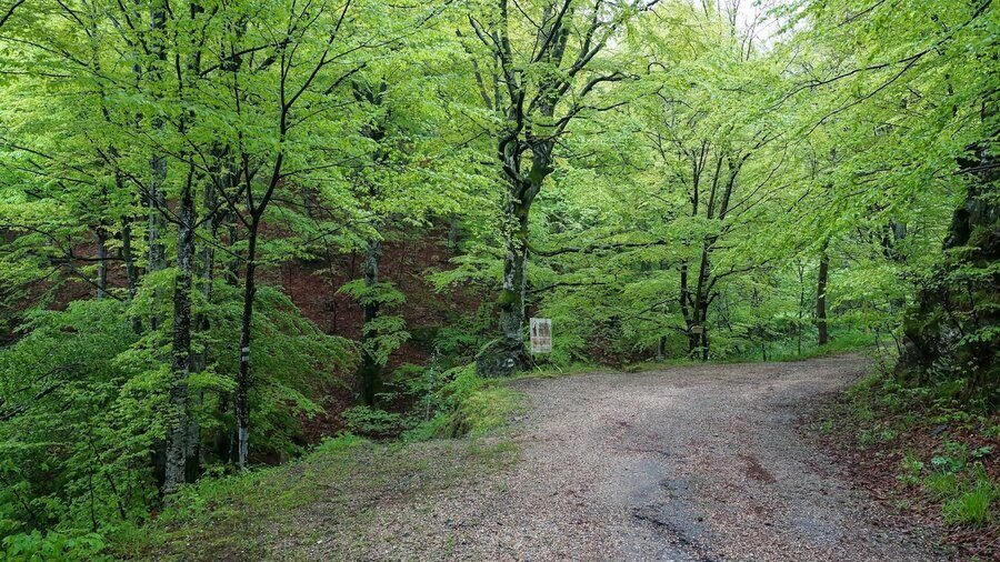 Екопътека "Хайдушки водопади" - Берковица