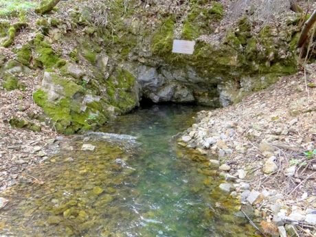 Карстов извор "Попов извор" - Боснек