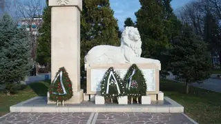Паметник на загиналите във войните за национално обединение - Монтана — Монтана
