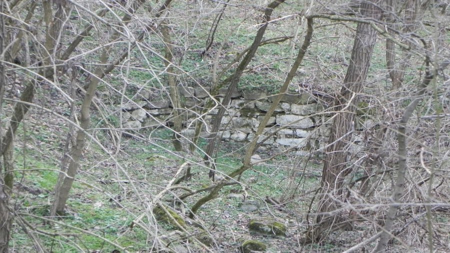 Средновековен манастир "Света Троица" - Самоводене