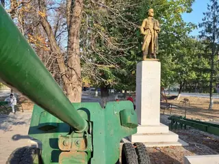 Паметник на загиналите във войните - с. Борован — Борован