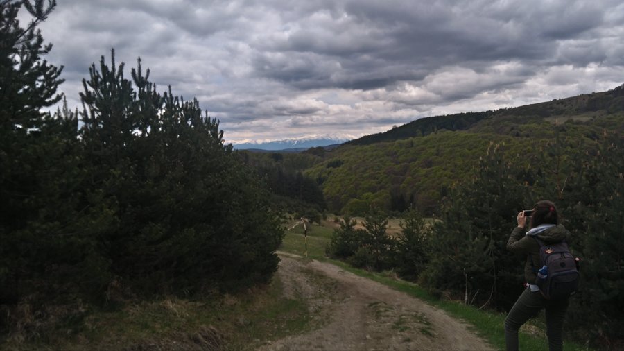 Маршрут с.Железница - Черни връх