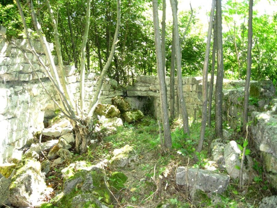 Башовишка църква - с.Орешец