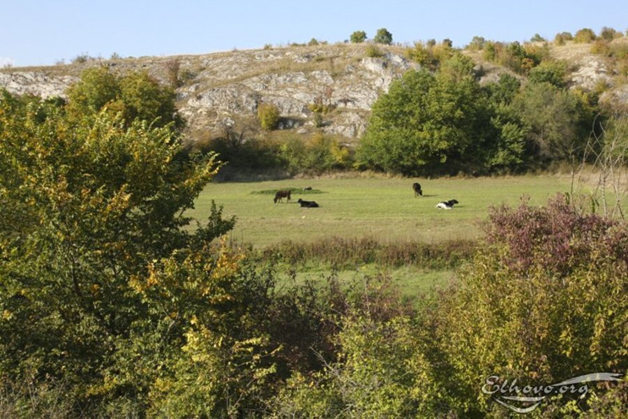 Местност и пещера "Дрънчи Дупка"