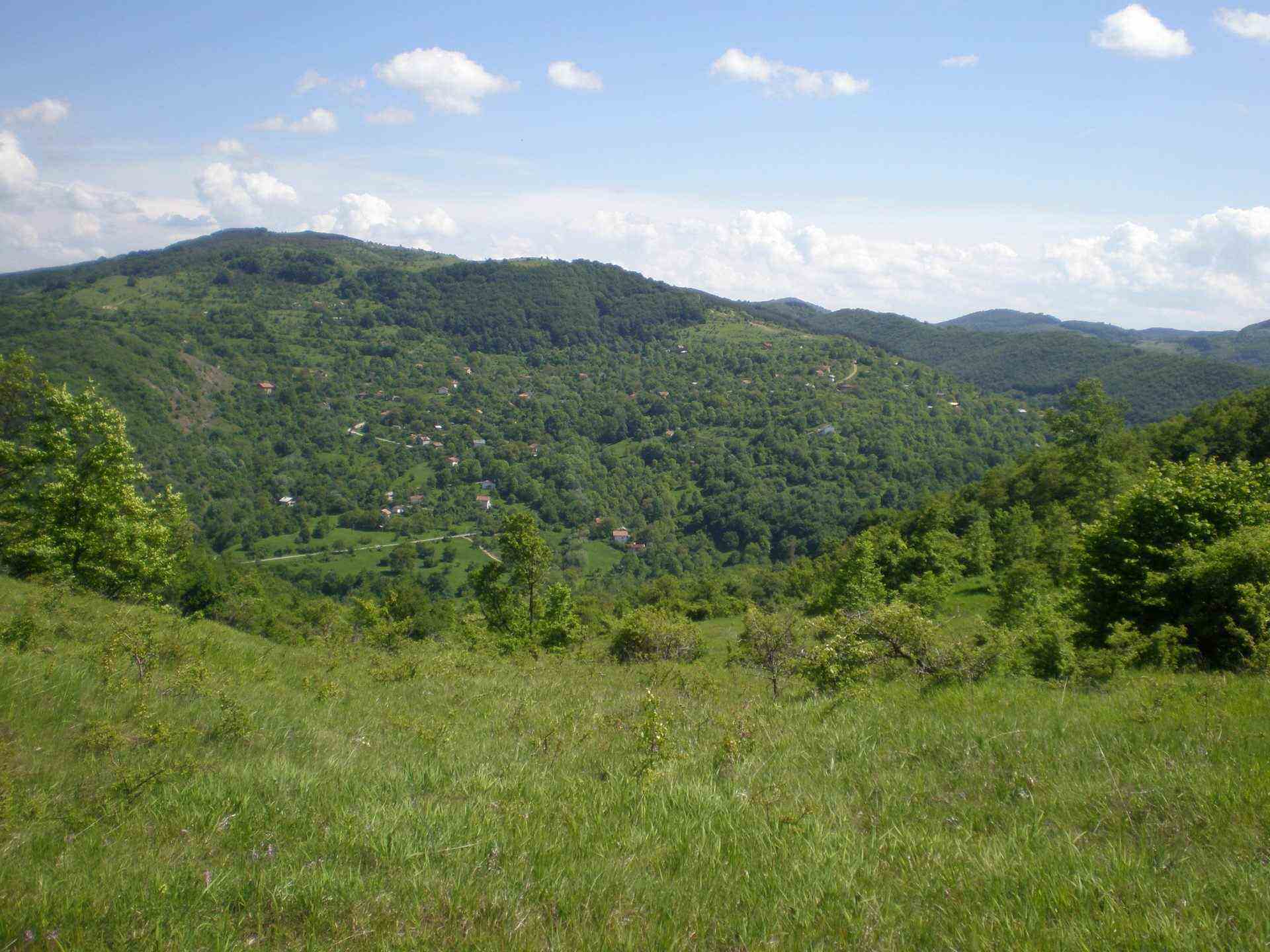 Чеканец