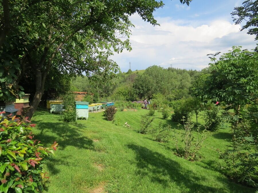 Ботаническа градина "Борика" - Борика