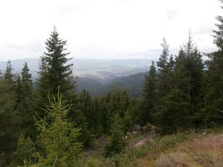 Връх Виденица - Родопи