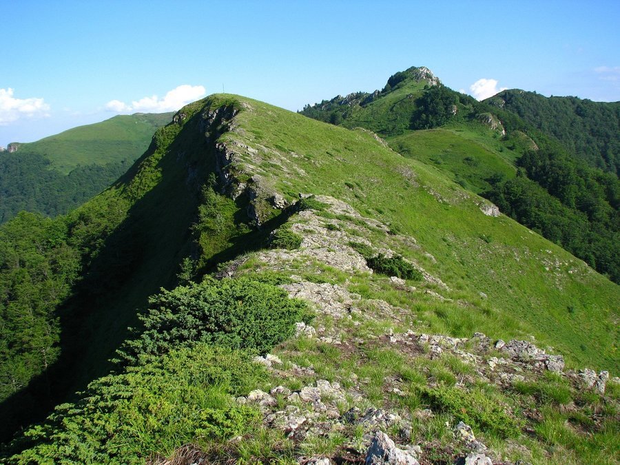 Връх Кучето