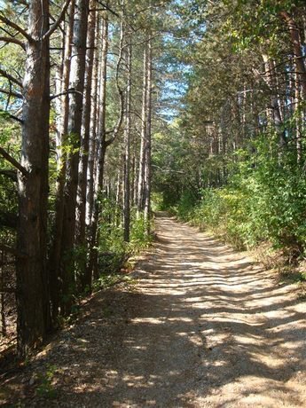 Екопътека "Люляци–Дебел дял"