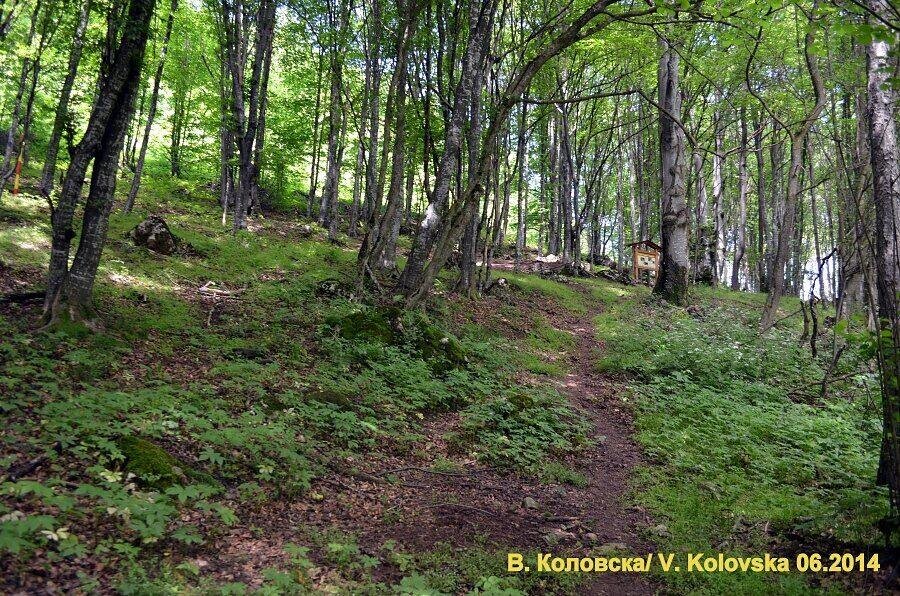 Познавателен маршрут "Пещера Леденика – с.Горно Озирово"