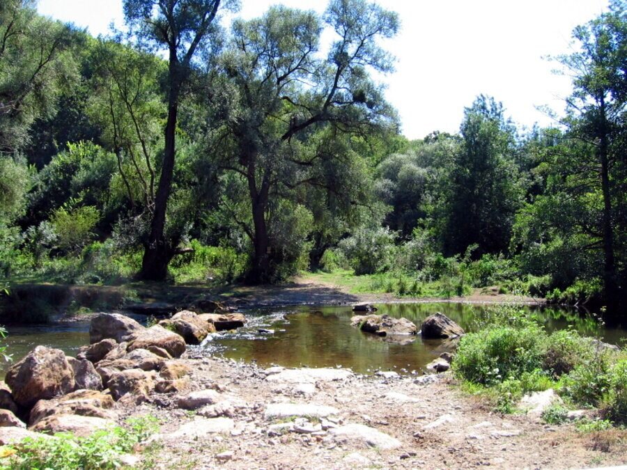 Местност "Св. Богородица" - Кости