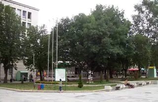 Алеята на кестените - Мездра — Мездра