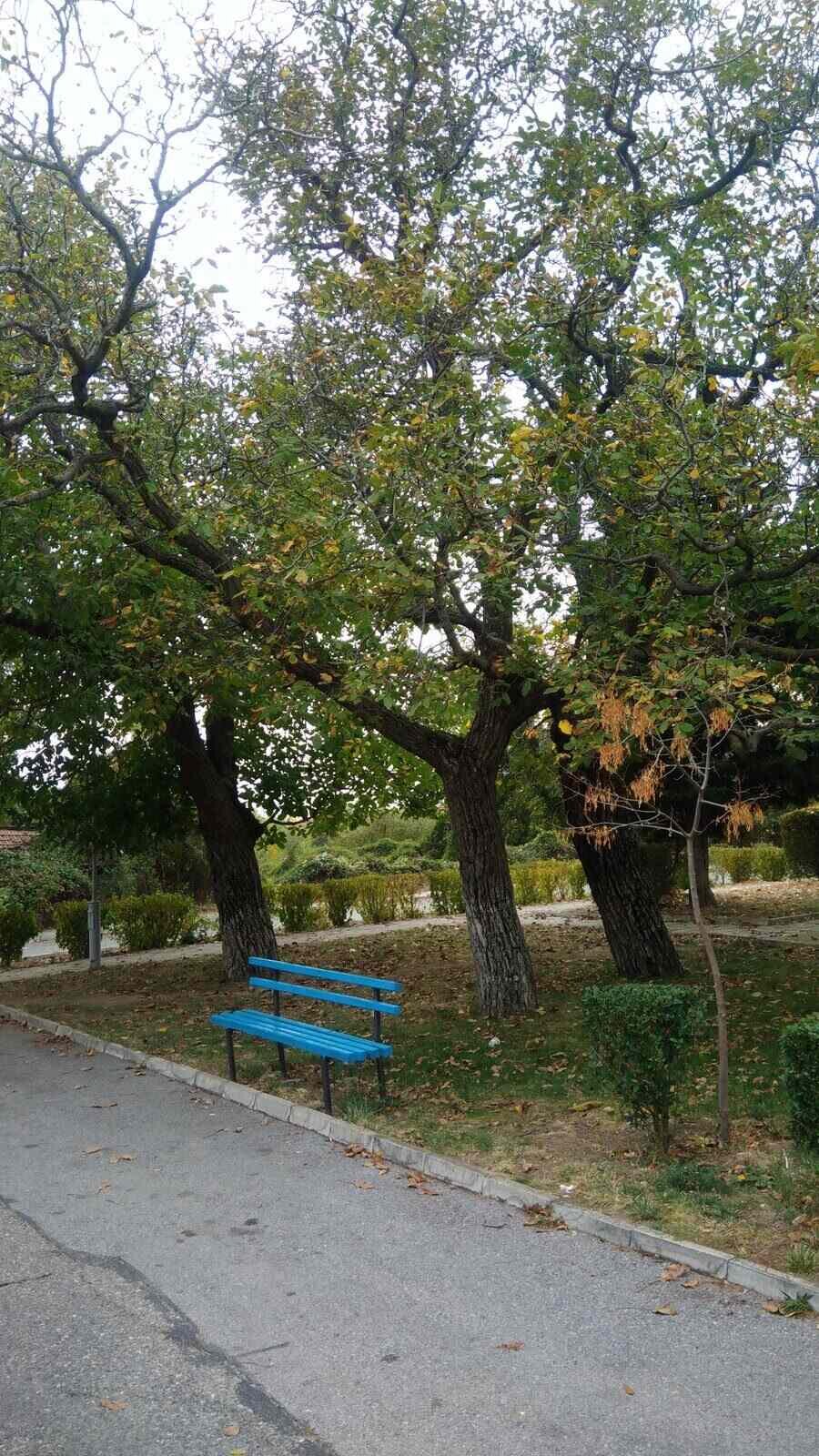 Градски парк - Твърдица