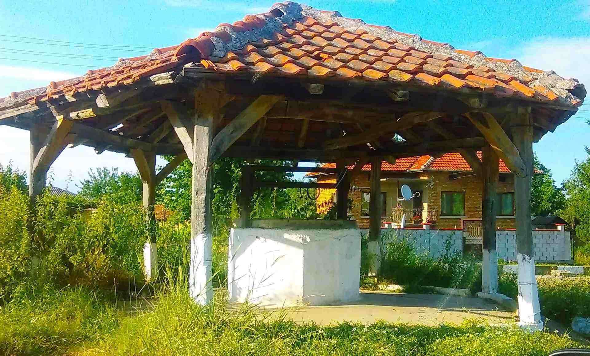 Гороцвет