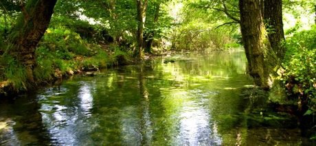 Карстов извор – Петрово