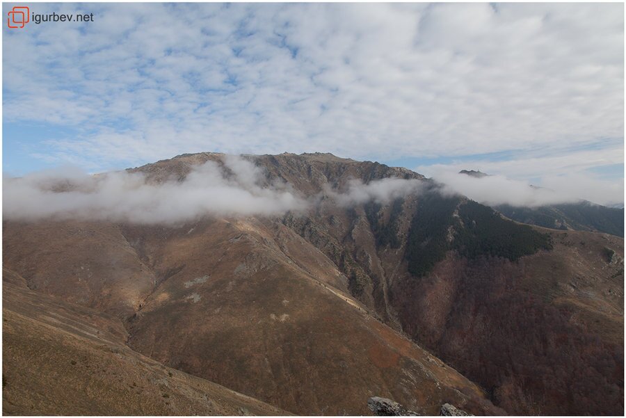 Връх Голям Полич