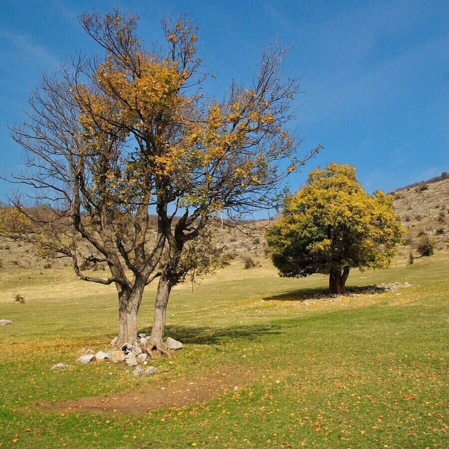 Маршрут "с. Зверино - вр. Яворец - вр. Околчица"