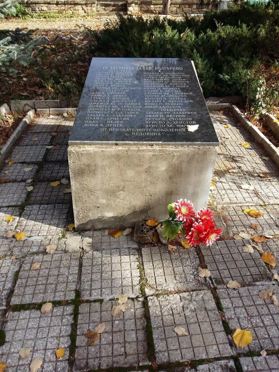 Паметна плоча на загиналите в Балканската война -с.Медовина — снимка