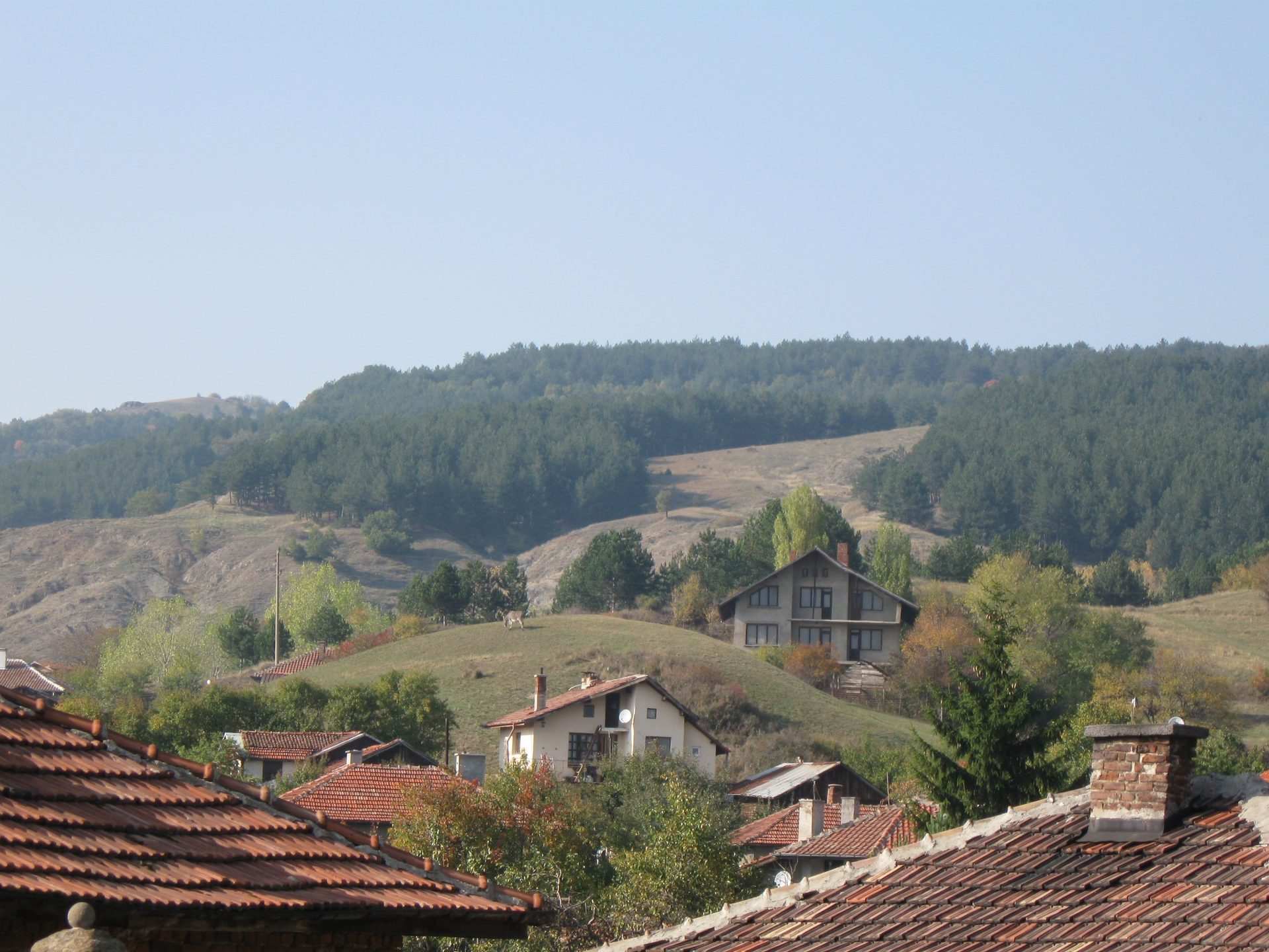 Гледка