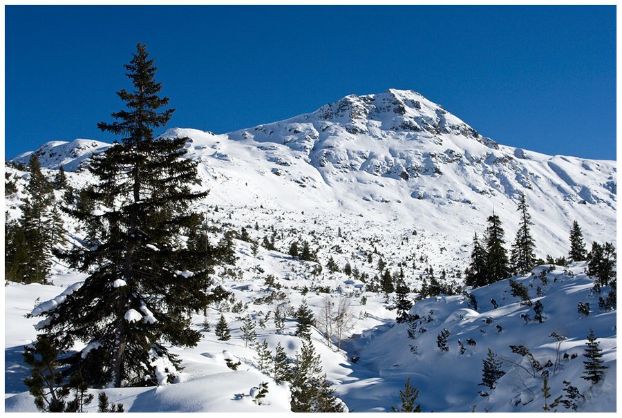 Връх Йосифица