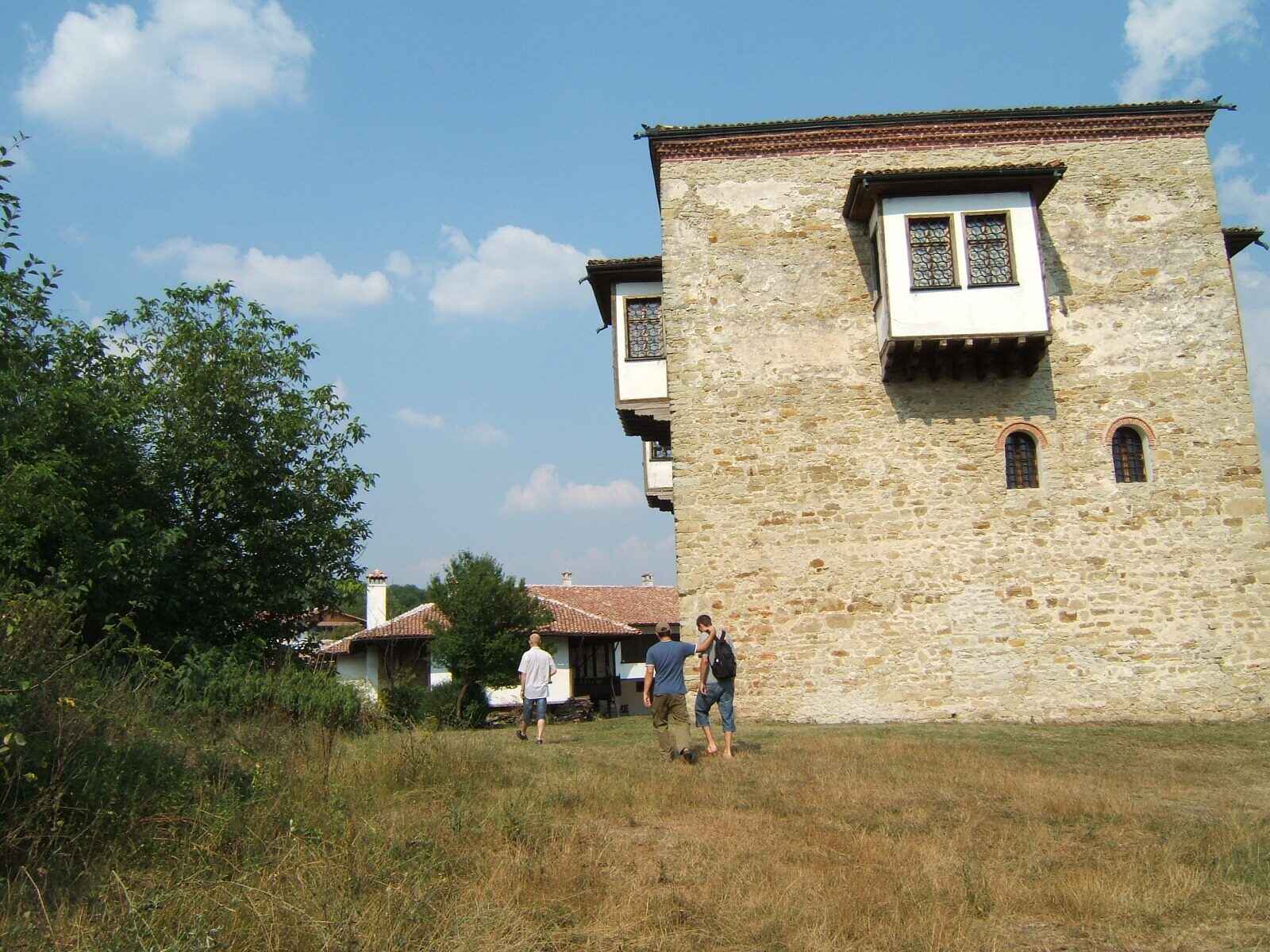 Леденик