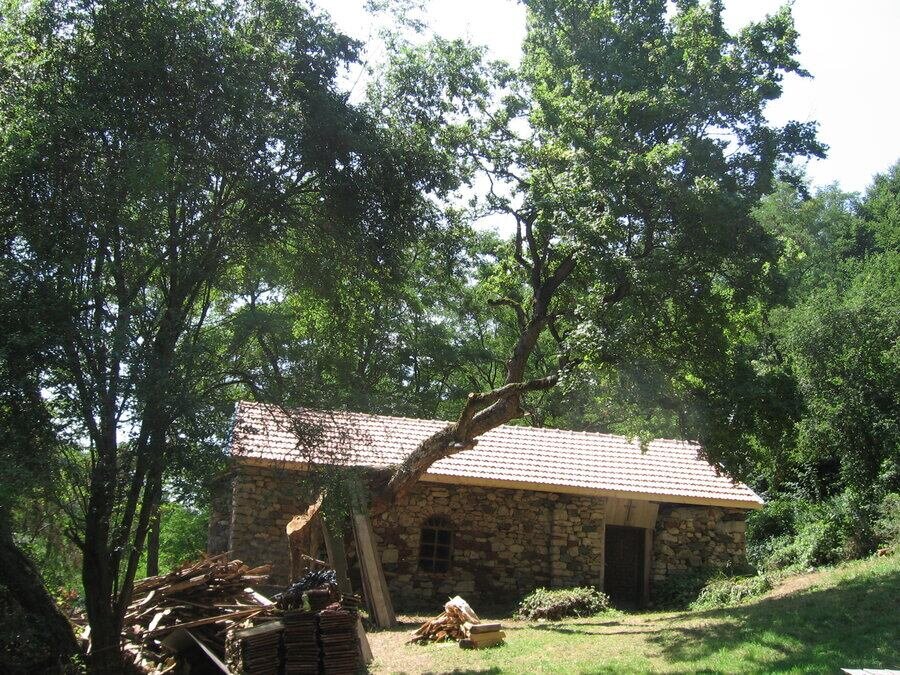 Забелски манастир "Свети Димитър" - Забел