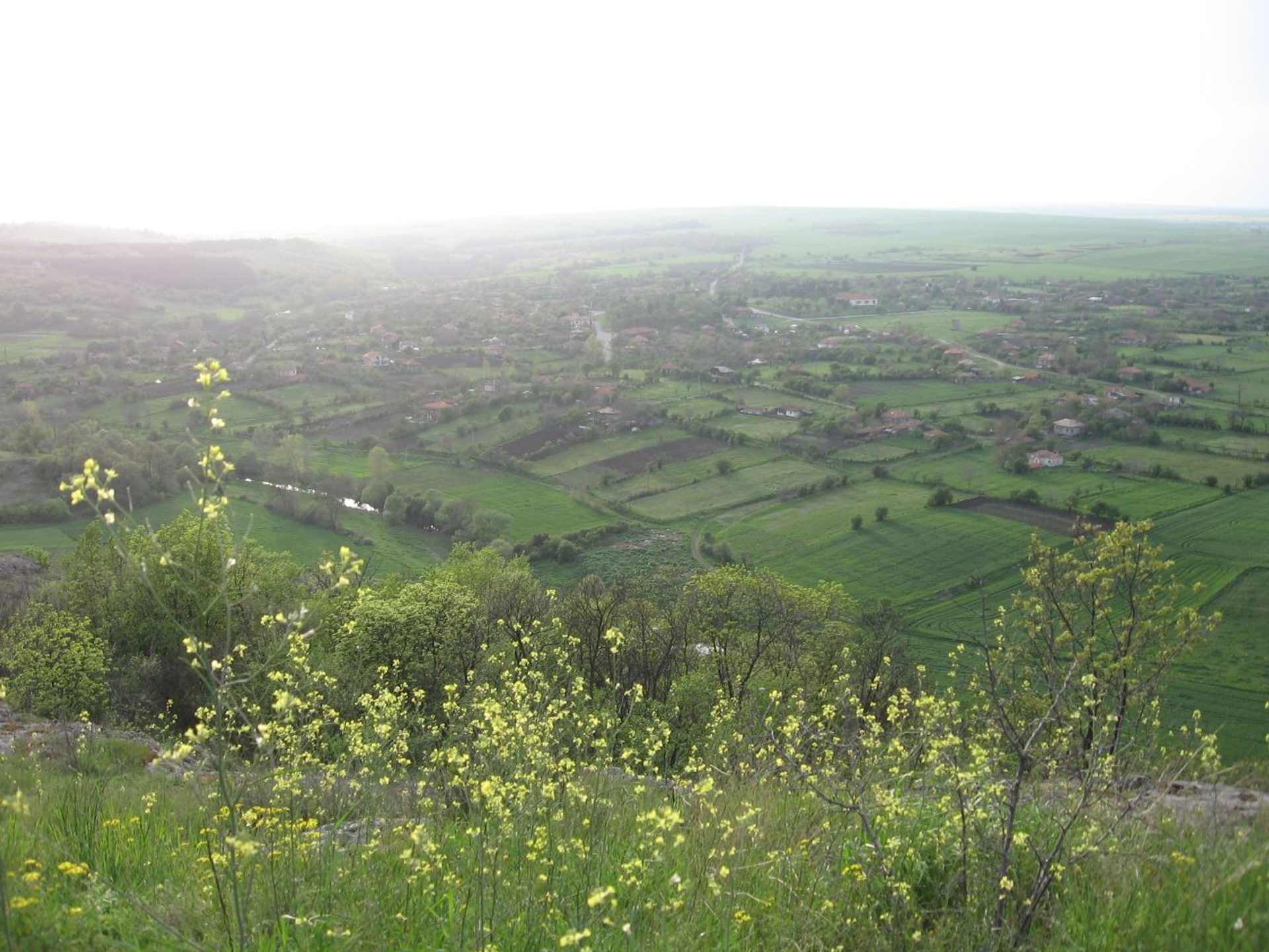 Правдино