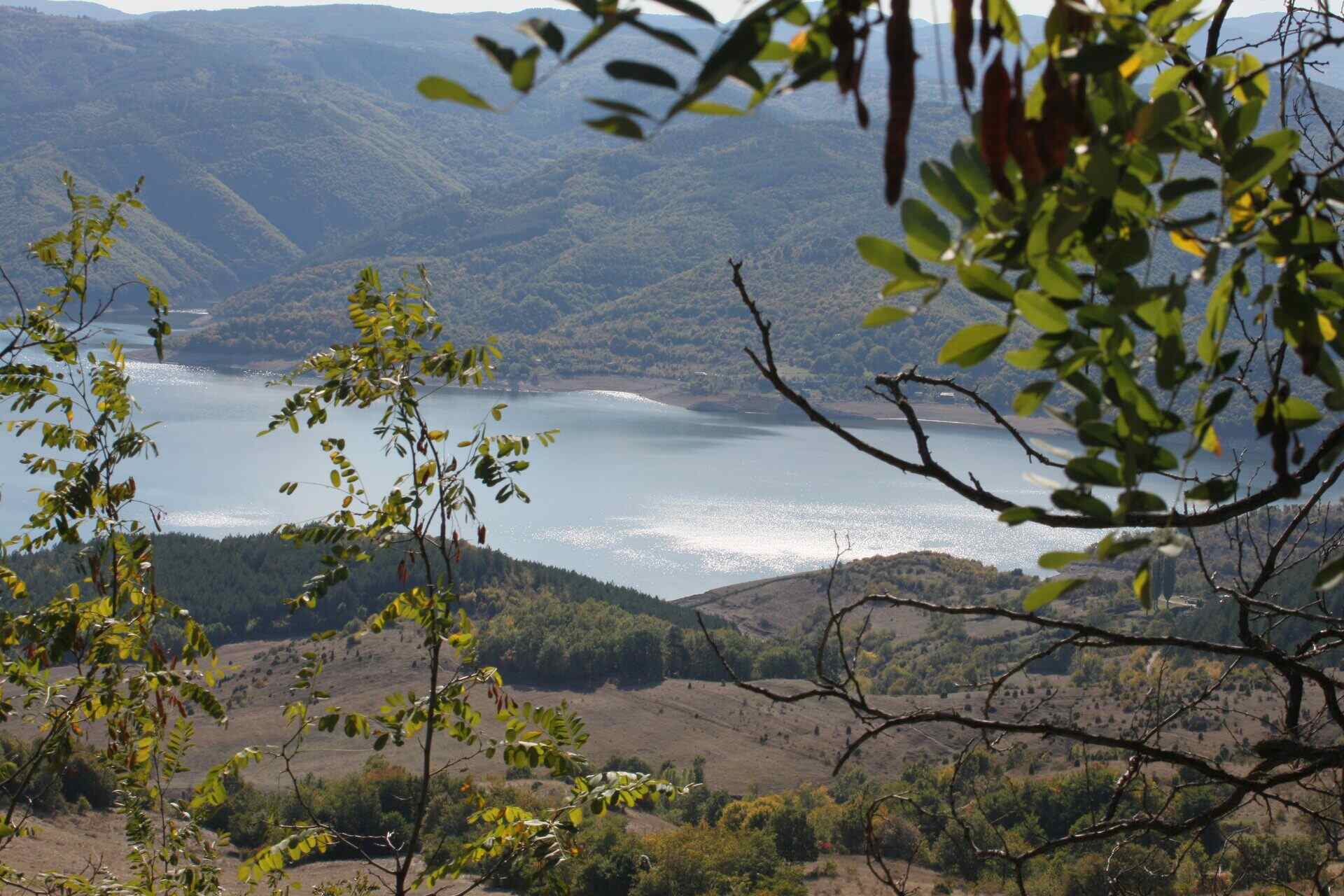 Дъждовница