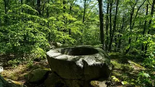 Тракийско светилище Кутела - Розовец — Розовец