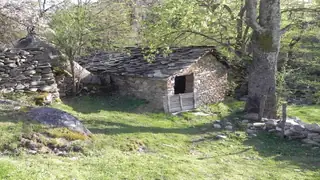 Водениците - Шумнатица — Шумнатица