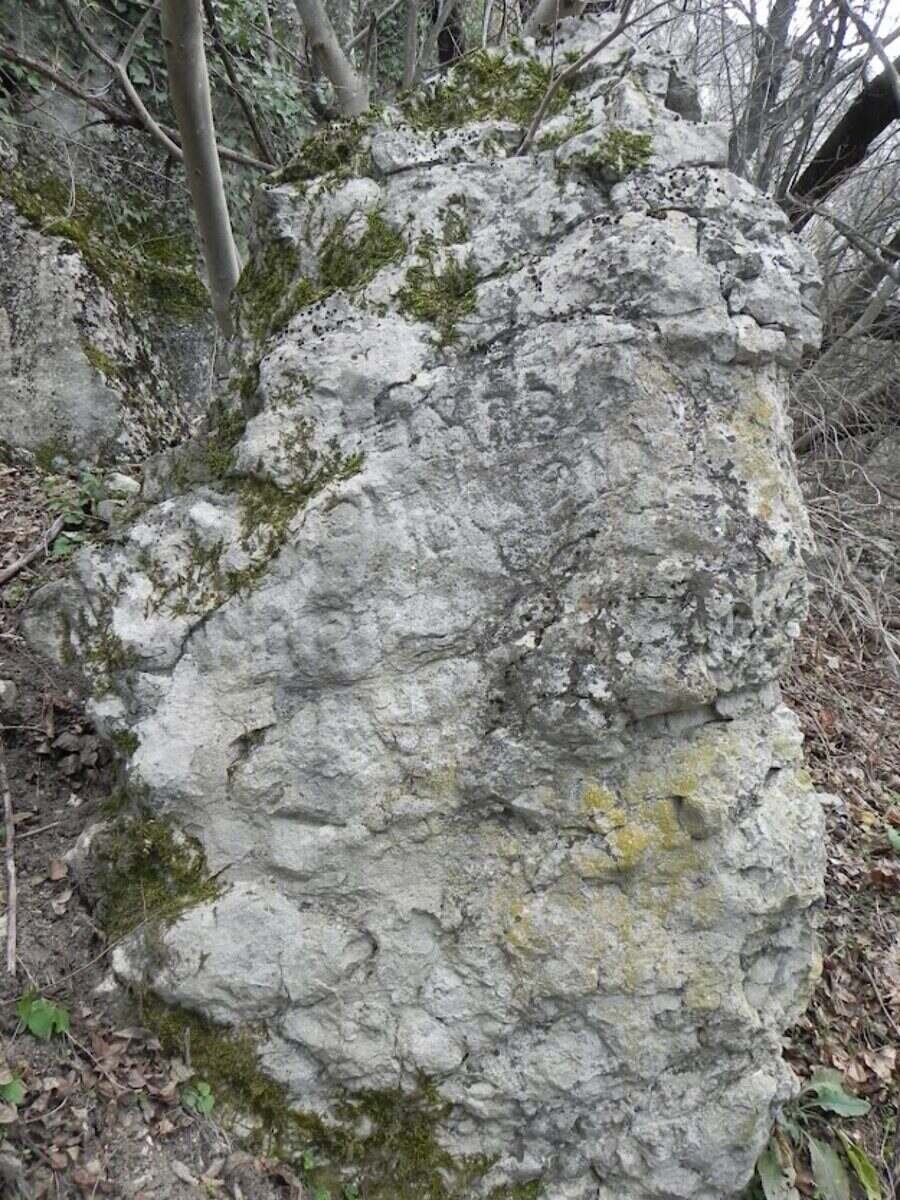 Менхир с издълбан надпис - Самоводене