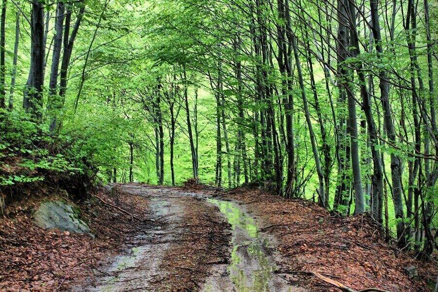 Местност "Циганско градище"