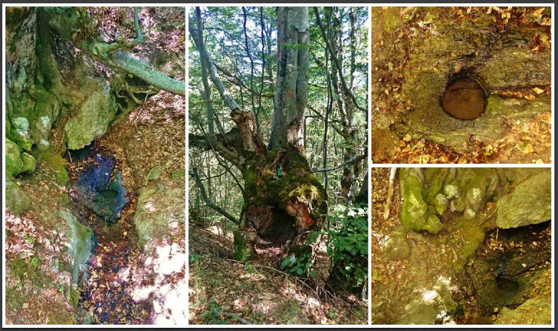 Долна Мелна