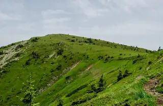Връх Малък Ком — Берковица