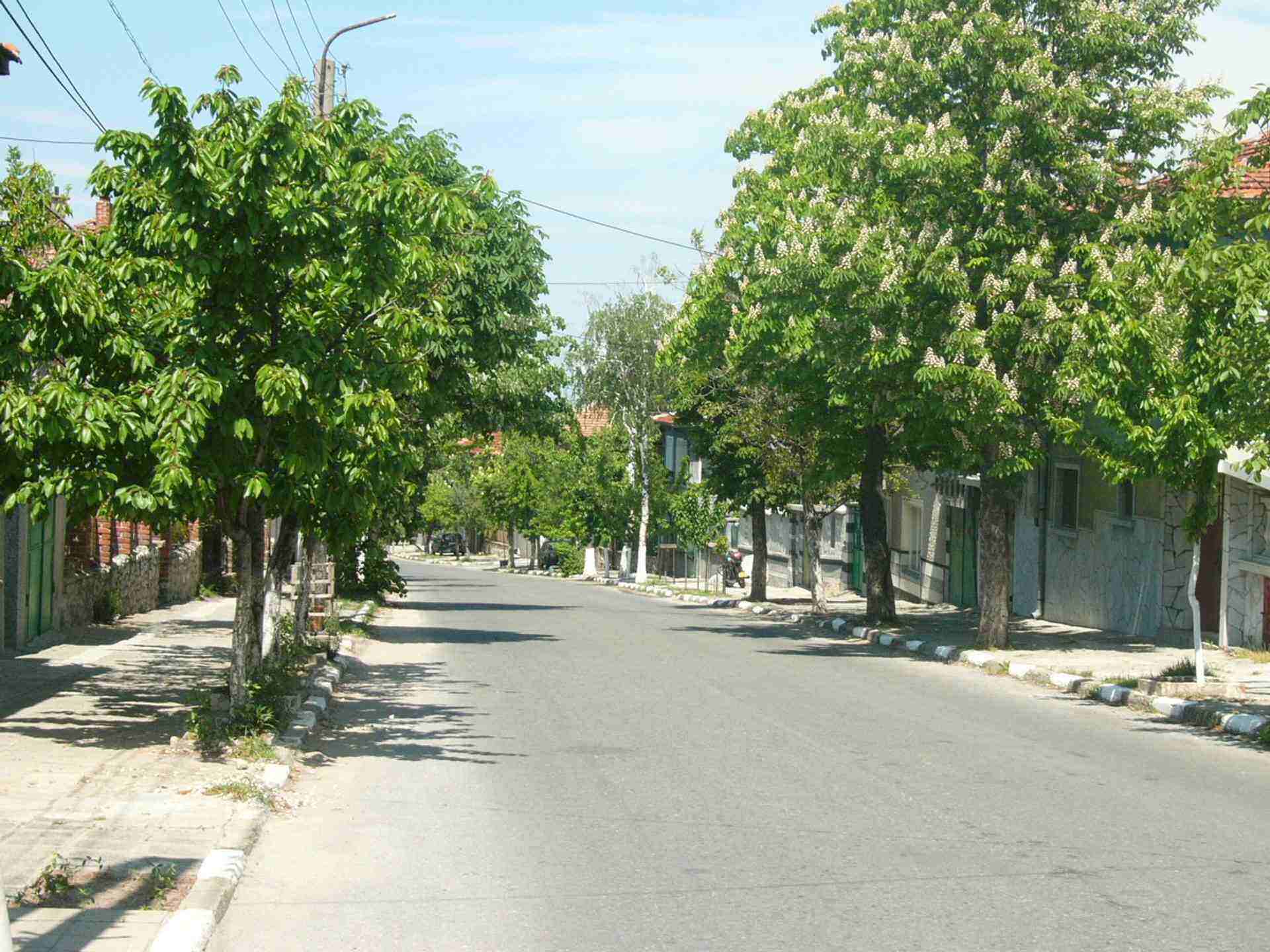 Марково