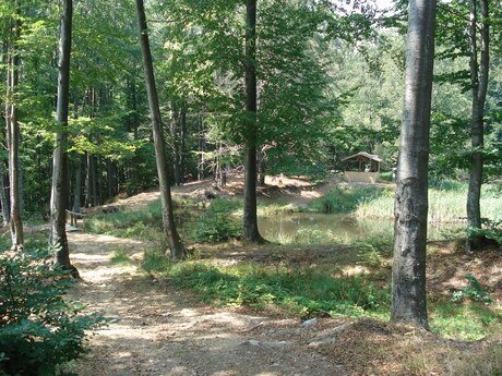 Екопътека "Лява река - Предела"