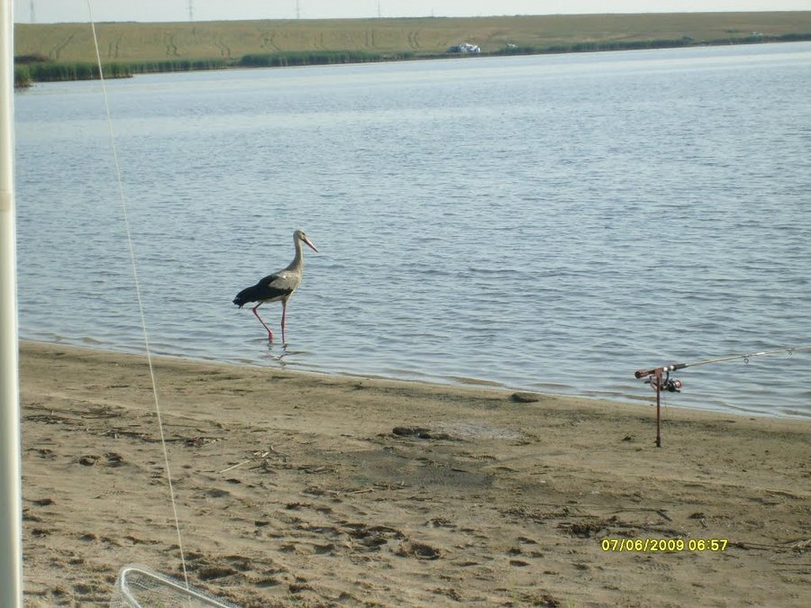 Язовир "Овчарица"