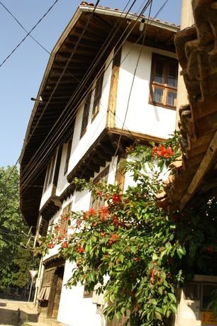 Петте Разсуканови къщи - Елена