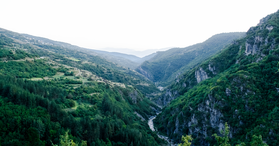 Поддържан резерват "Тъмна гора"