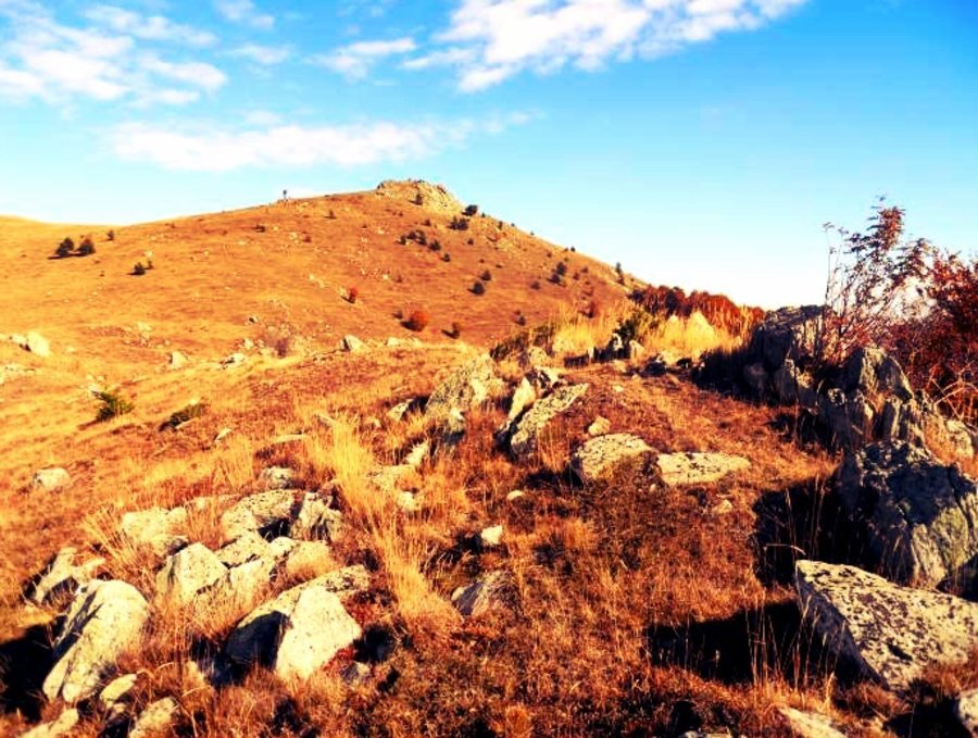 Скално светилище "Алексица"