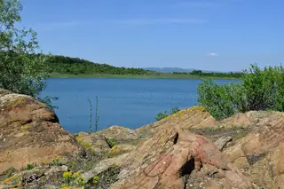 Скаленско блато - Скала — Скала