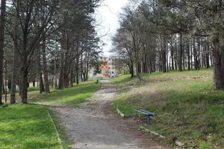 Градска градина - Мездра — Мездра