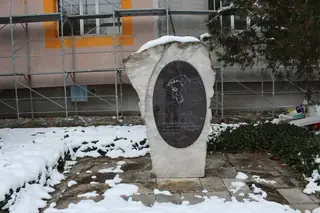 Паметник на Йордан Радичков - Видин — Видин