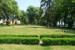 Крайдунавска градска градина - Видин — Видин