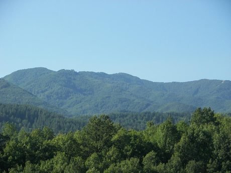 Връх "Вейката"