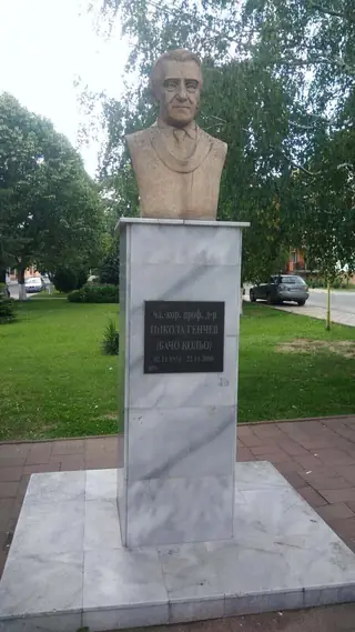 Бюст - паметник на професор Николай Генчев - Николаево — Николаево