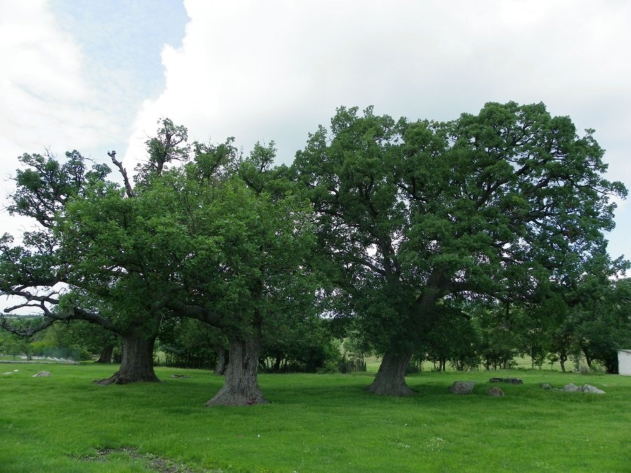 Природен парк "Кедикчал" - Равен